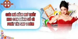 nằm mơ thấy heo con đánh số gì