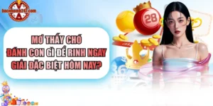 Mơ Thấy Chó Đánh Con Gì Để Rinh Ngay Giải Đặc Biệt Hôm Nay?