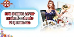 Nuôi Lô Khung 247 VIP Chuẩn Xác, Đảm Bảo Tỷ Lệ Trúng Cao